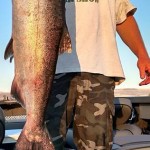 Summer_Chinook_Salmon_Hurds_Guide_Service_09