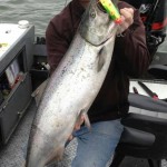 Spring_Chinook_Salmon_Hurds_Guide_Service_23