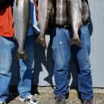 Spring_Chinook_Salmon_Hurds_Guide_Service_38