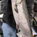 Spring_Chinook_Salmon_Hurds_Guide_Service_53