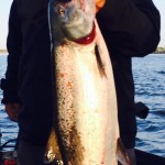 Spring_Chinook_Salmon_Hurds_Guide_Service_55
