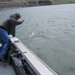 4/06/2016 Sturgeon fishing on the upper Columbia river 006